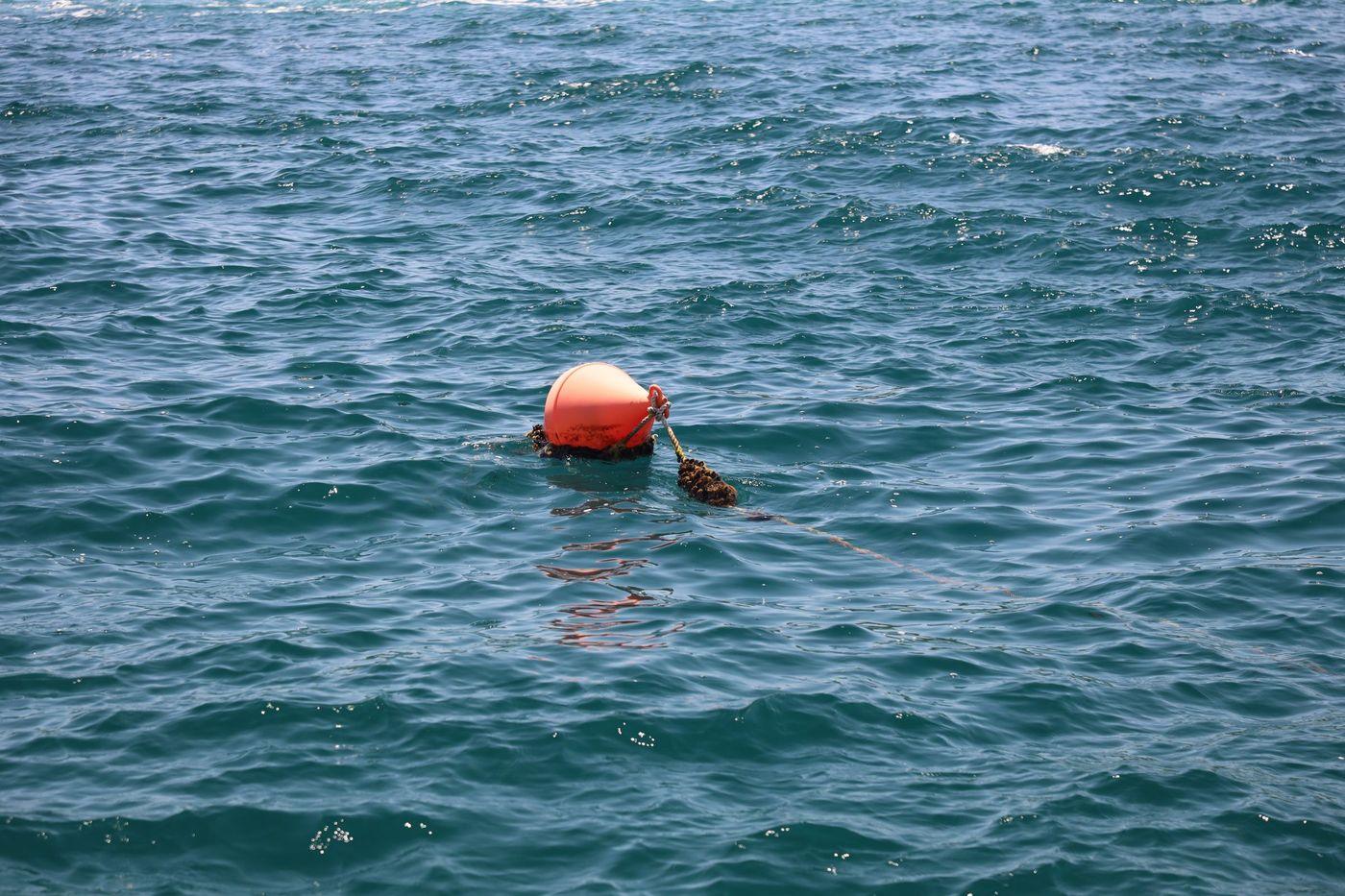 An orange monitoring buoy riding clear open water